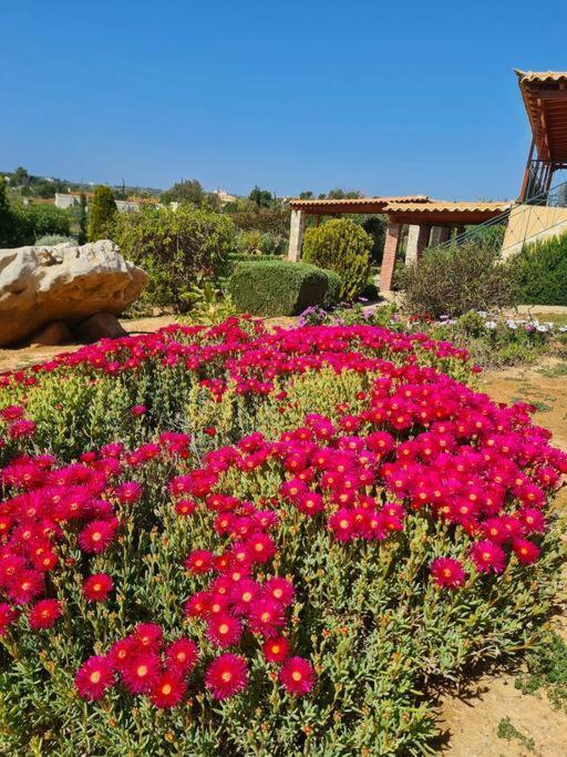 Guesthouse Petrothalassa Porto Heli Bagian luar foto